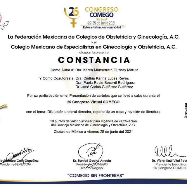 Ampliar imagen: certificate 5