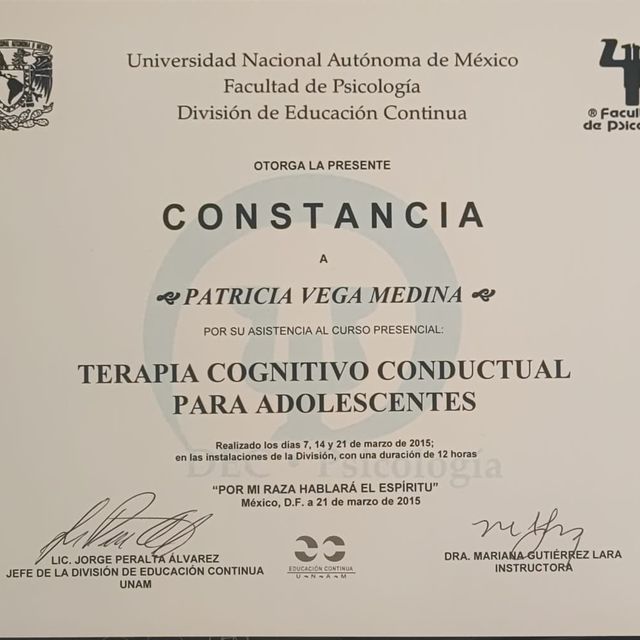 Ampliar imagen: certificate 7