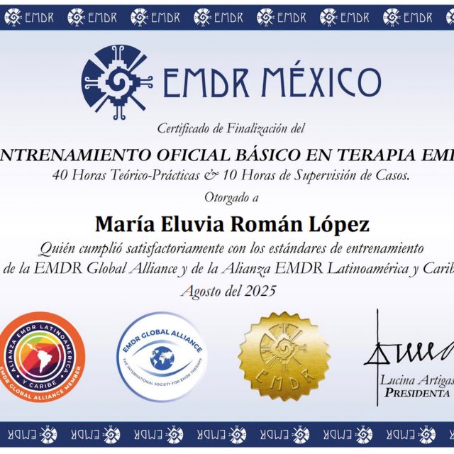 Ampliar imagen: certificate 3