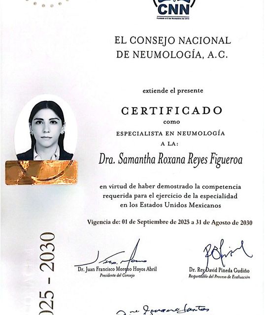 Ampliar imagen: certificate 3