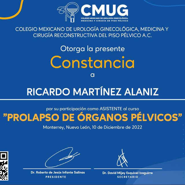 Ampliar imagen: certificate 11