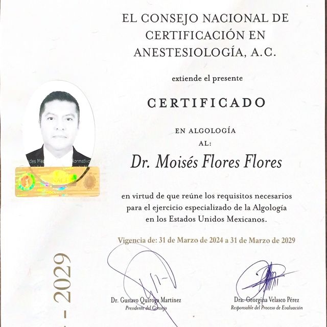 Ampliar imagen: certificate 1