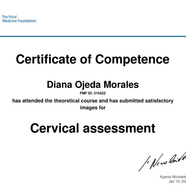 Ampliar imagen: certificate 3