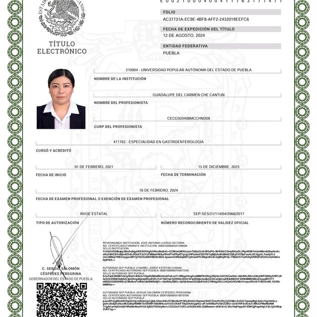 Ampliar imagen: certificate 3