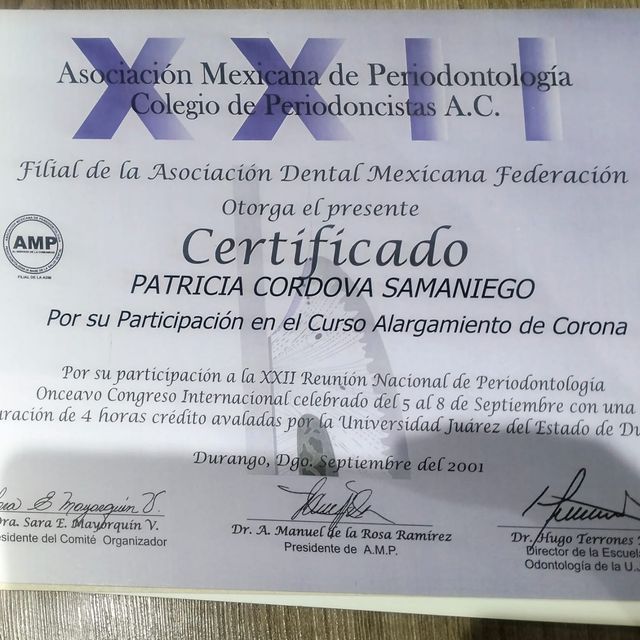 Ampliar imagen: certificate 7
