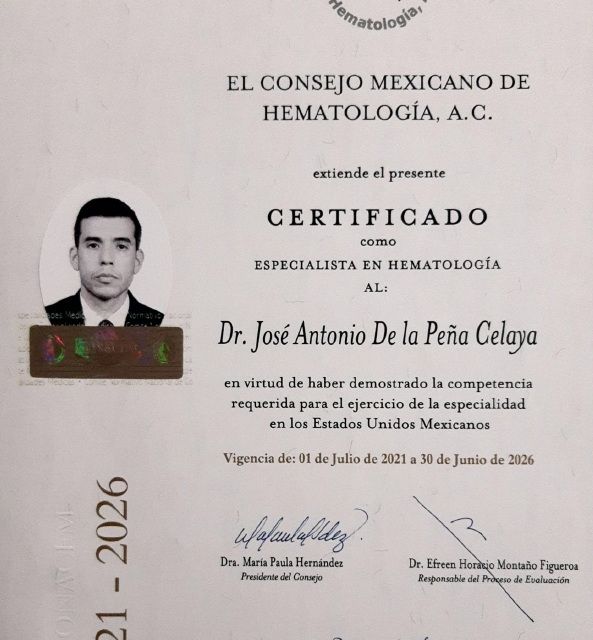 Ampliar imagen: certificate 1