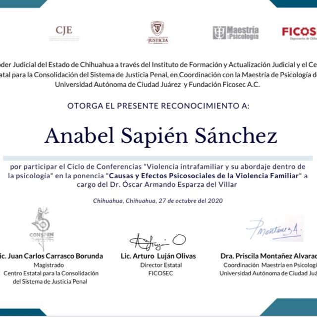 Ampliar imagen: certificate 4