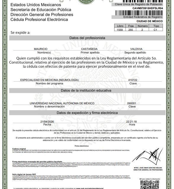 Ampliar imagen: certificate 6