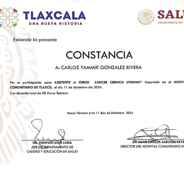 Ampliar imagen: certificate 3