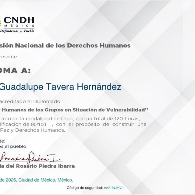 Ampliar imagen: certificate 94