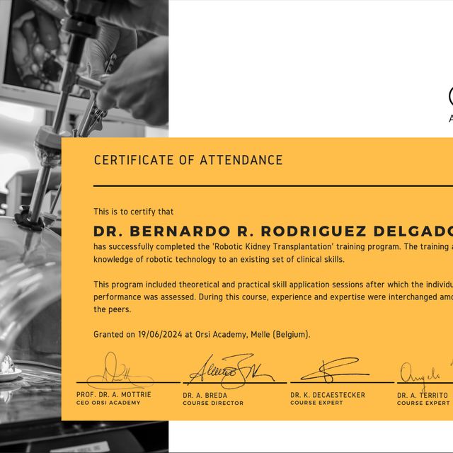 Ampliar imagen: certificate 3