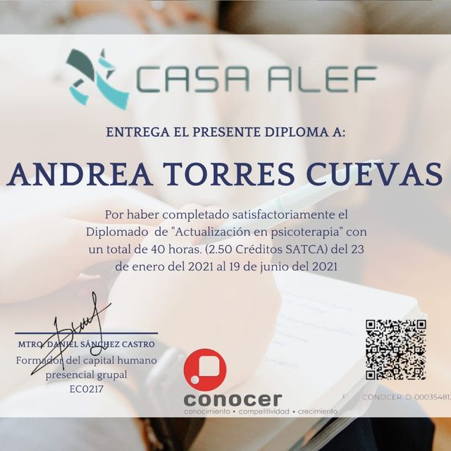 Ampliar imagen: certificate 1