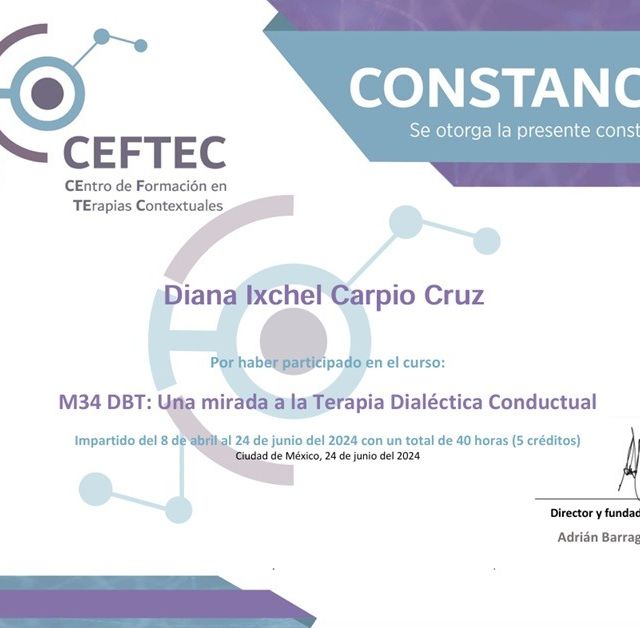 Ampliar imagen: certificate 4