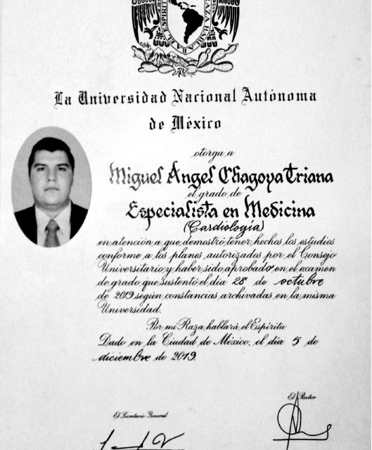 Ampliar imagen: certificate 4