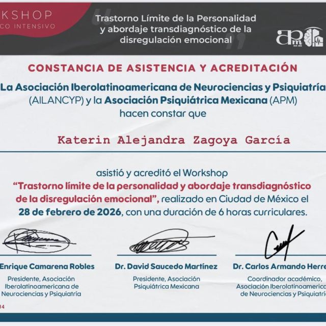 Ampliar imagen: certificate 7