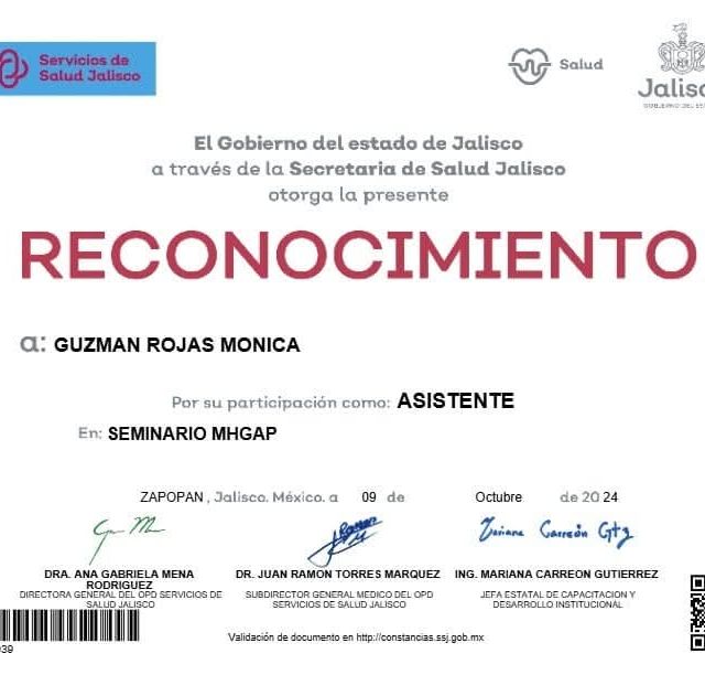 Ampliar imagen: certificate 94