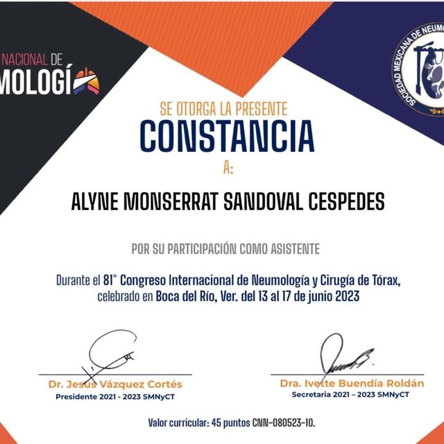 Ampliar imagen: certificate 4