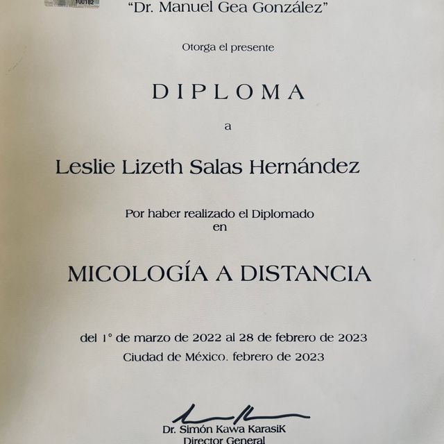 Ampliar imagen: certificate 3
