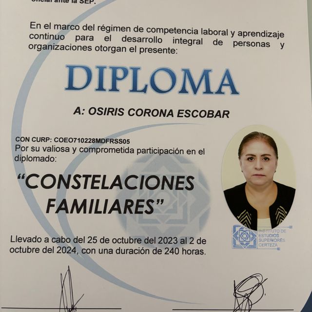 Ampliar imagen: certificate 2