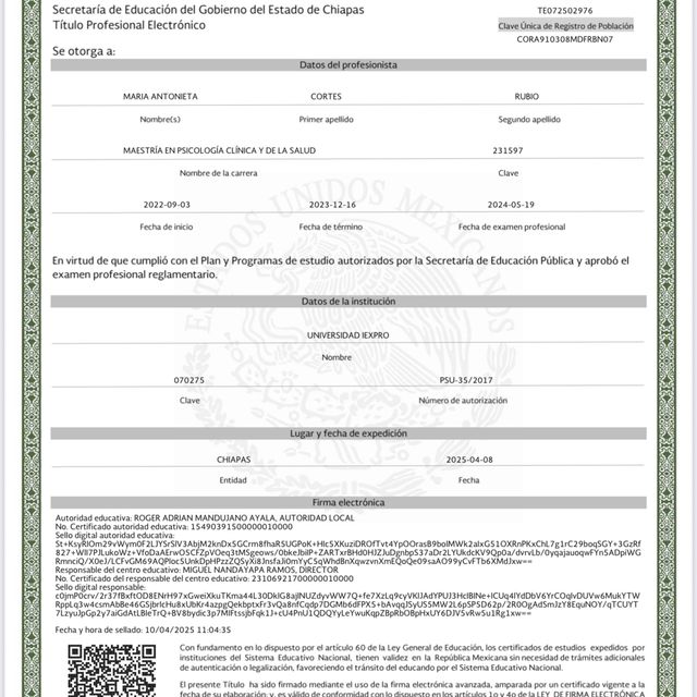 Ampliar imagen: certificate 2