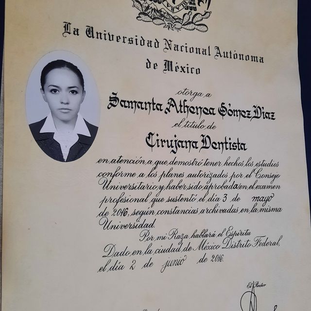 Ampliar imagen: certificate 1