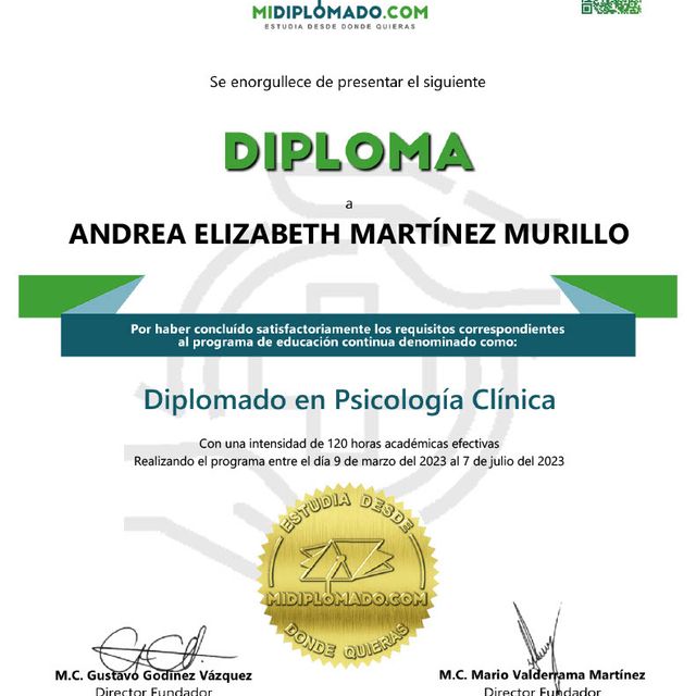 Ampliar imagen: certificate 31