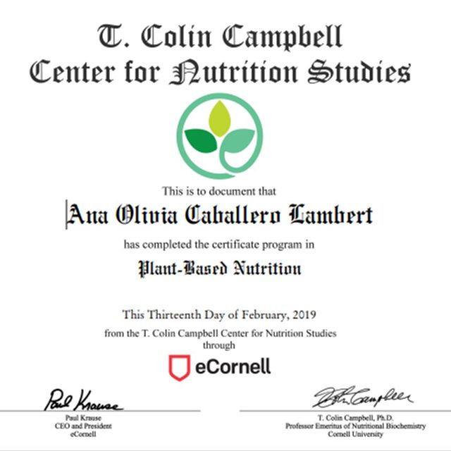 Ampliar imagen: certificate 3