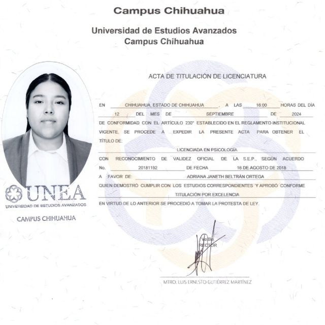 Ampliar imagen: certificate 1