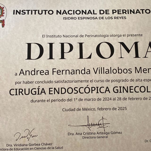 Ampliar imagen: certificate 1