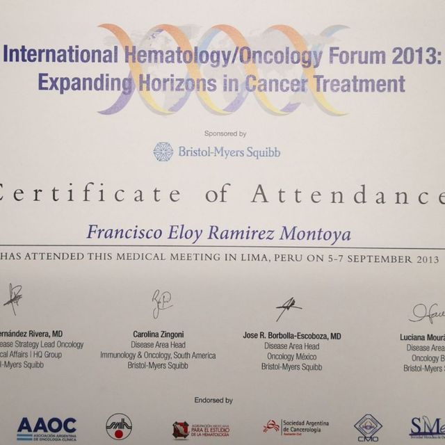 Ampliar imagen: certificate 15