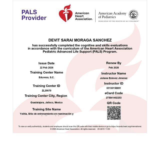 Ampliar imagen: certificate 3