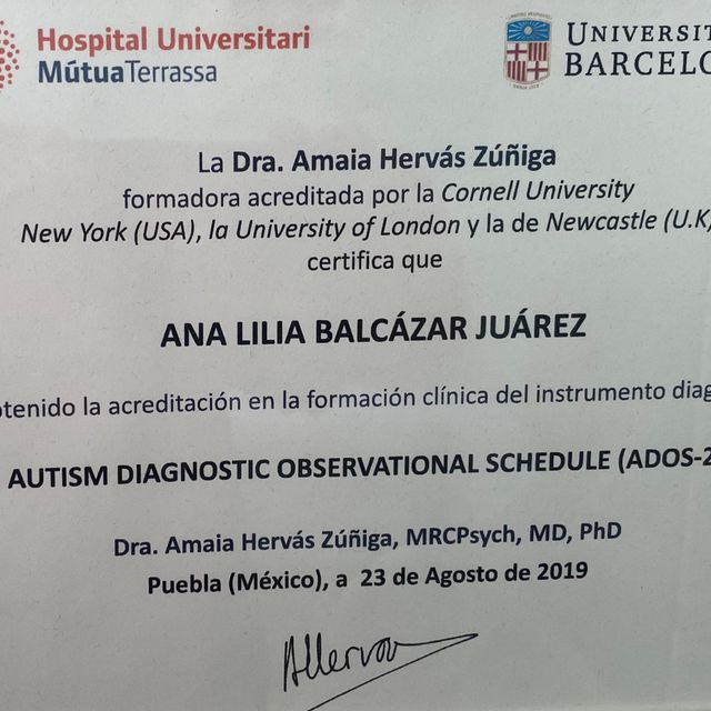 Ampliar imagen: certificate 8