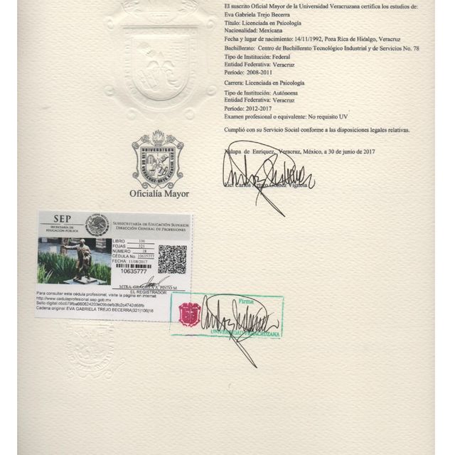 Ampliar imagen: certificate 2