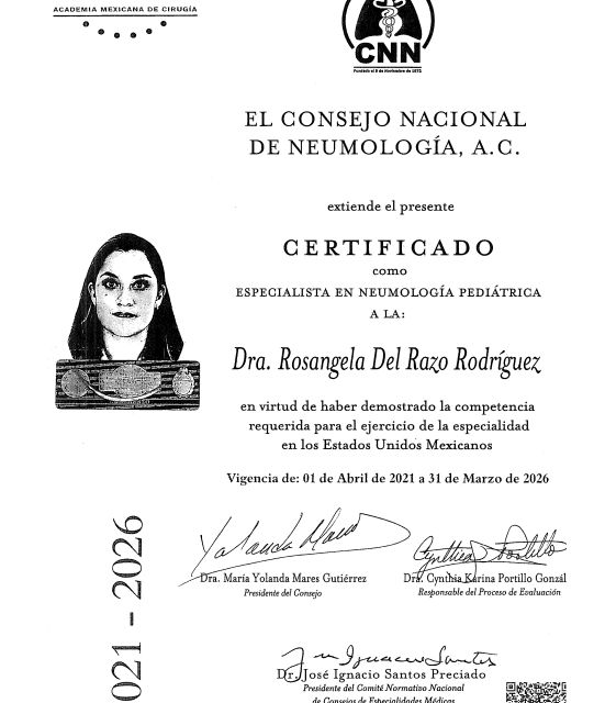 Ampliar imagen: certificate 3