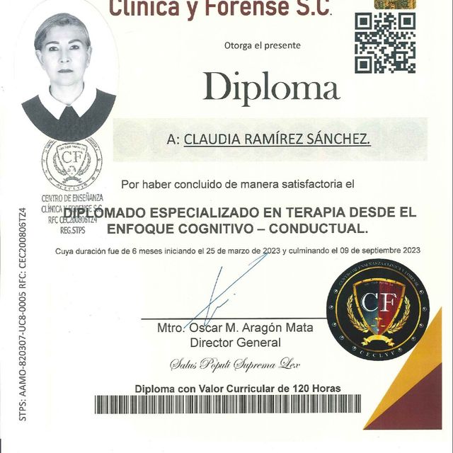 Ampliar imagen: certificate 2