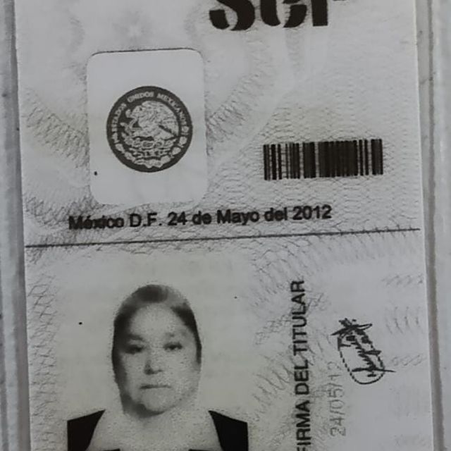 Ampliar imagen: certificate 2