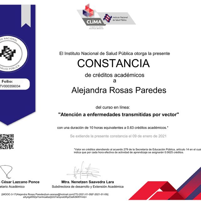 Ampliar imagen: certificate 9