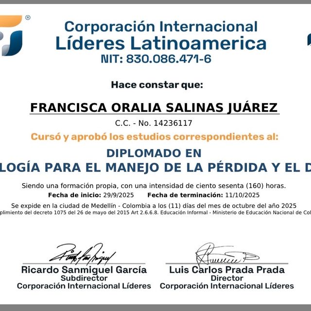 Ampliar imagen: certificate 5