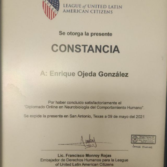 Ampliar imagen: certificate 9