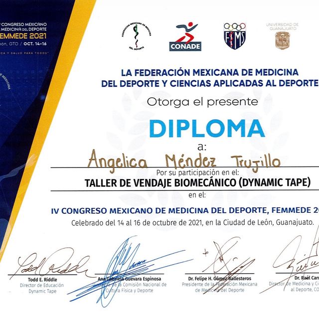 Ampliar imagen: certificate 14