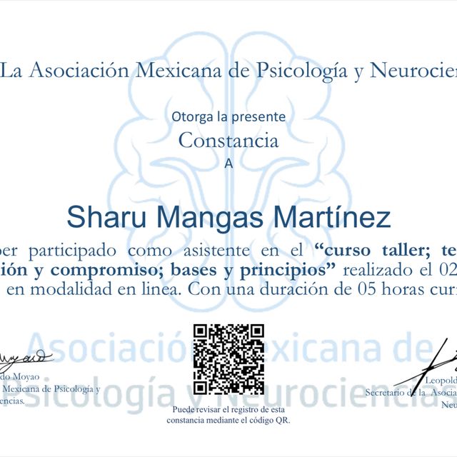 Ampliar imagen: certificate 3