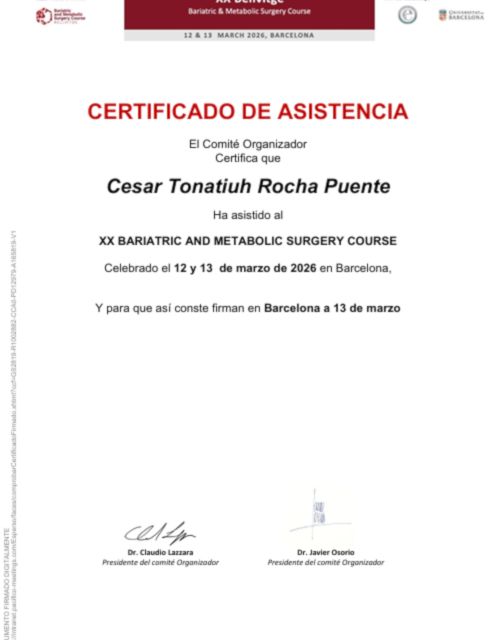 Ampliar imagen: certificate 68