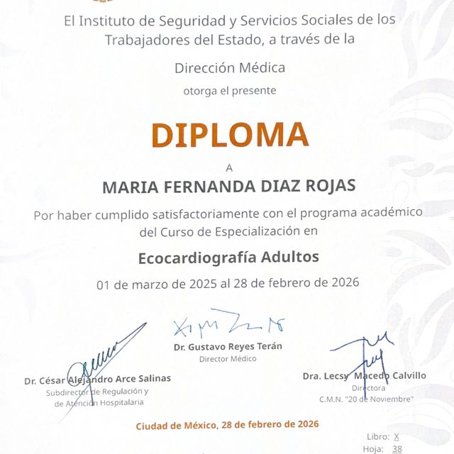 Ampliar imagen: certificate 5