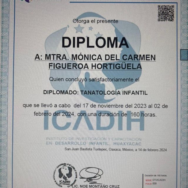 Ampliar imagen: certificate 18
