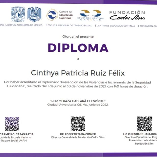 Ampliar imagen: certificate 4