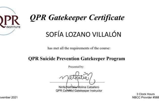 Ampliar imagen: certificate 1