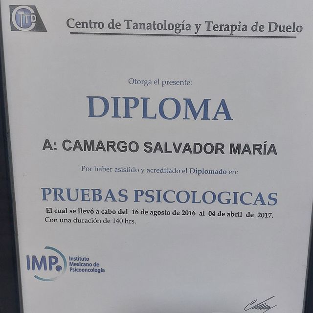 Ampliar imagen: certificate 14