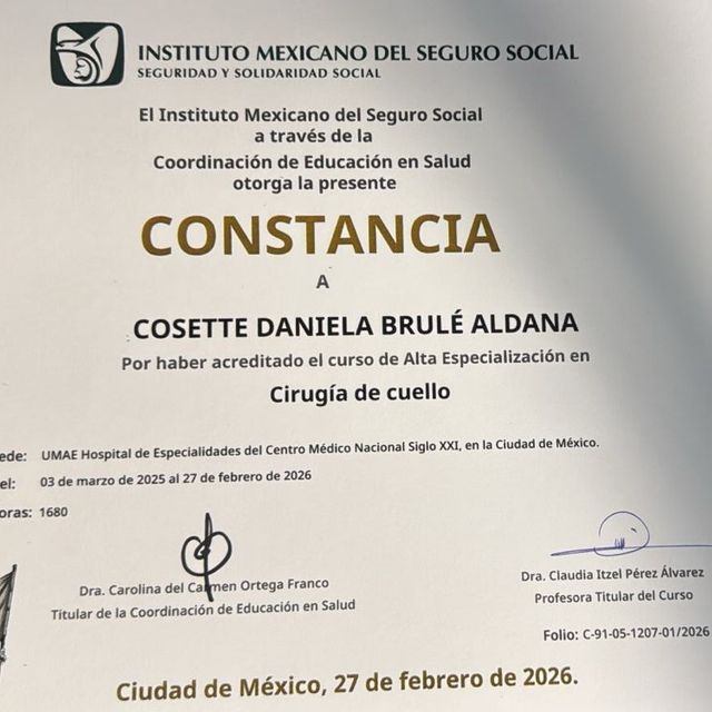 Ampliar imagen: certificate 4
