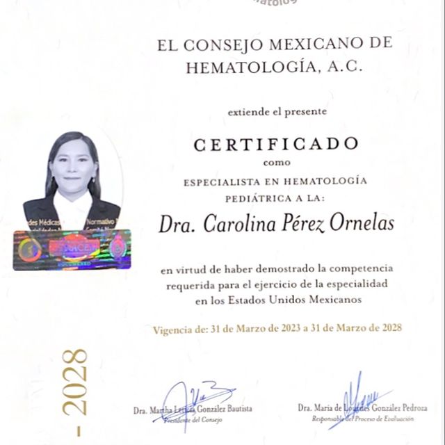 Ampliar imagen: certificate 2