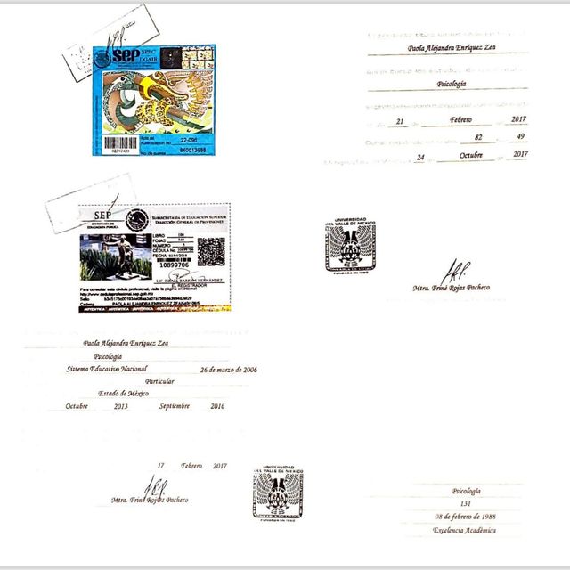 Ampliar imagen: certificate 3